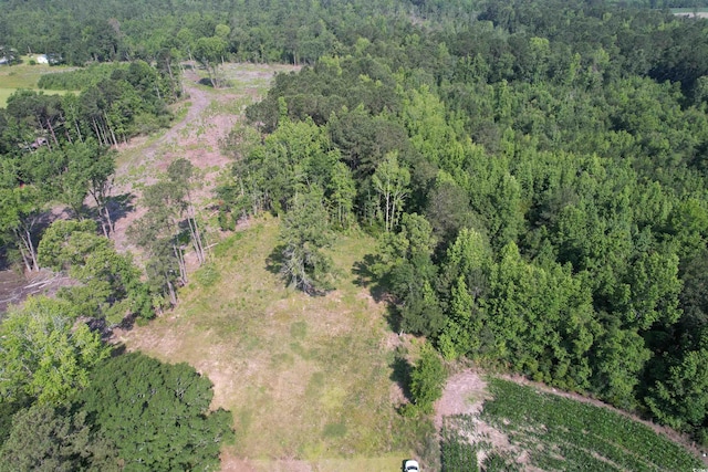TBD Samuels Ave, Salters, SC 29590 - photo 5