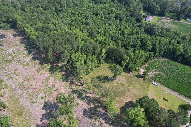 TBD Samuels Ave, Salters, SC 29590 - photo 4