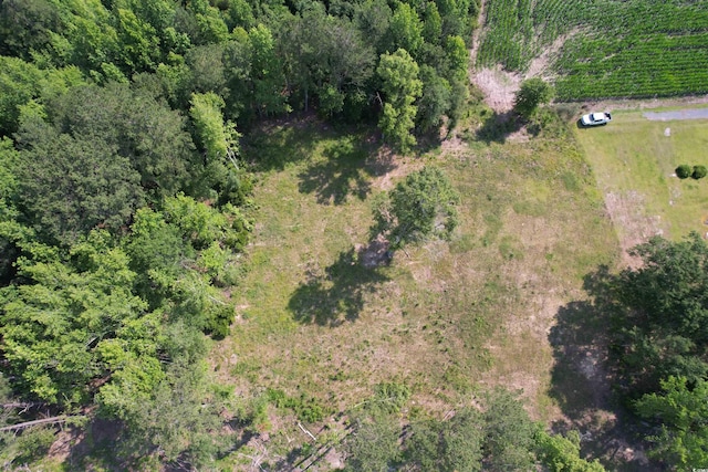TBD Samuels Ave, Salters, SC 29590 - photo 3