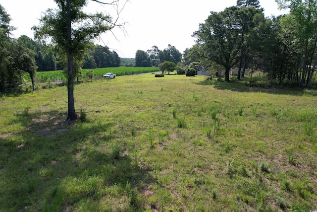 TBD Samuels Ave, Salters, SC 29590 - photo 2