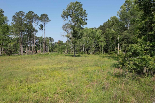 TBD Samuels Ave, Salters, SC 29590 - photo 1