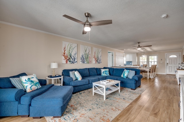 321 53rd Ave N, North Myrtle Beach, SC 29582 - living room featuring ceiling fan, ornamental molding, light wood-style flooring, and a textured ceiling