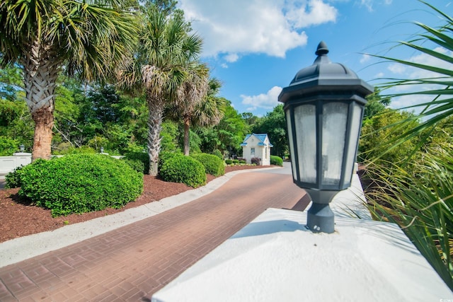 161 Patriot Ln, Pawleys Island, SC 29585 - view of community