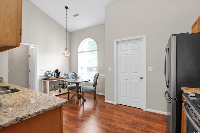 161 Patriot Ln, Pawleys Island, SC 29585 - kitchen with appliances with stainless steel finishes, dark wood-type flooring, high vaulted ceiling, decorative light fixtures, and light stone counters