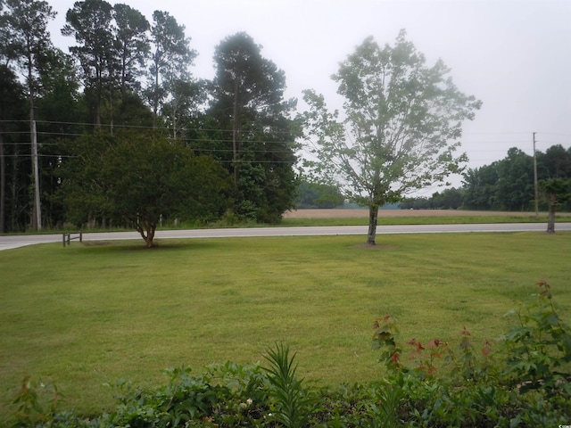8202 Joe Brown Hwy S, Clarendon, NC 28432 - view of grassy yard