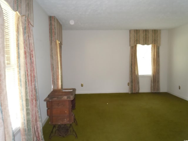 8202 Joe Brown Hwy S, Clarendon, NC 28432 - spare room with carpet flooring