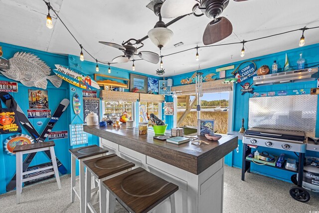 4534 Landing Rd, Little River, SC 29566 - bar with a ceiling fan and speckle patterned floor