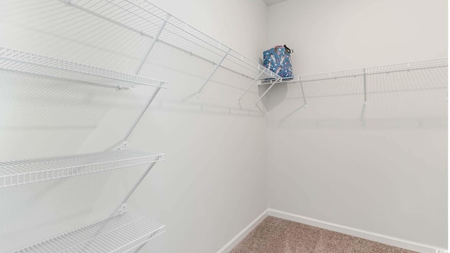 3554 Ashridge Way, Conway, SC 29526 - walk in closet with carpet floors