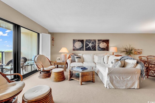 741 Retreat Beach Cir Unit B-1-A, Pawleys Island, SC 29585 - living room featuring carpet floors and a textured ceiling