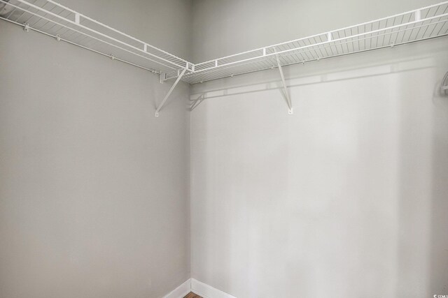 6015 Catalina Dr Unit 634, North Myrtle Beach, SC 29582 - view of walk in closet
