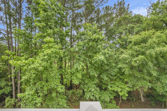6015 Catalina Dr Unit 634, North Myrtle Beach, SC 29582 - view of woods