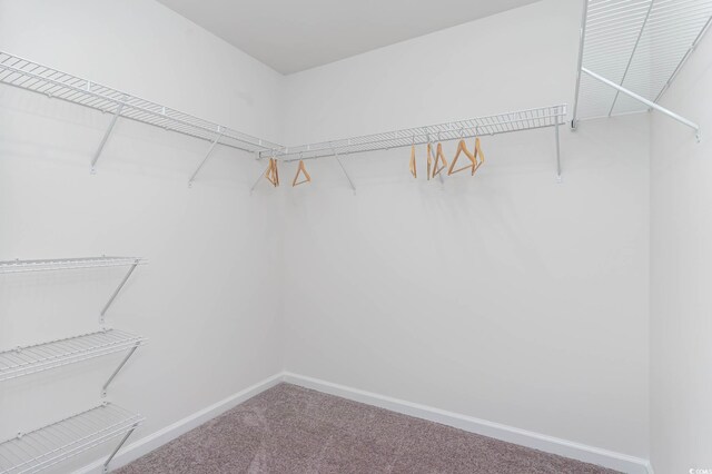 109 Dagger Ct, Myrtle Beach, SC 29588