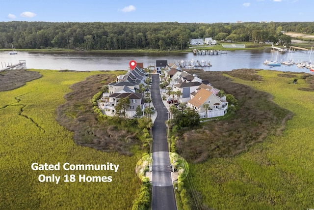 4525 Landing Rd, Little River, SC 29566 - bird's eye view of a nearby body of water and a forest