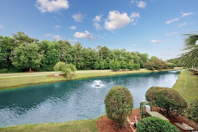 5825 Catalina Dr Unit 125, North Myrtle Beach, SC 29582 - water view