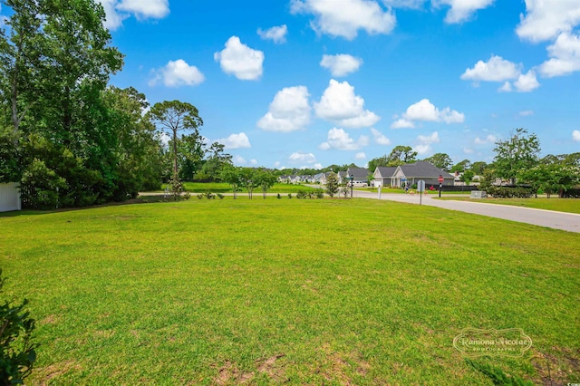 547 Pacific Commons Dr, Surfside Beach, SC 29575 - view of green lawn
