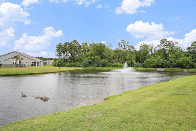 1807 Berkley Village Loop, Myrtle Beach, SC 29579 - water view