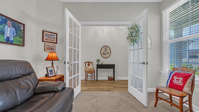 598 Cascade Loop, Little River, SC 29566 - sitting room with french doors, carpet flooring, and healthy amount of natural light