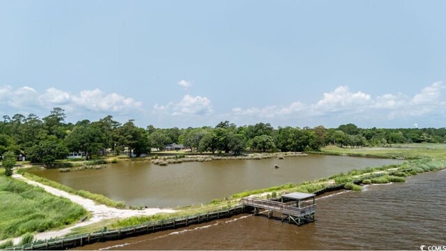 951 Herriott Farms Dr, Georgetown, SC 29440 - photo 11