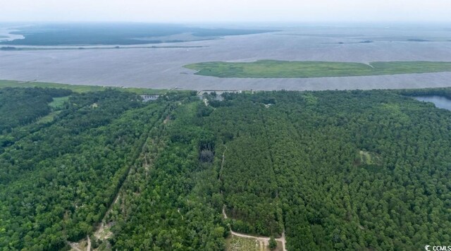 951 Herriott Farms Dr, Georgetown, SC 29440 - photo 21