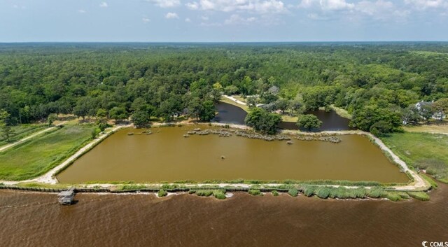 951 Herriott Farms Dr, Georgetown, SC 29440 - photo 26