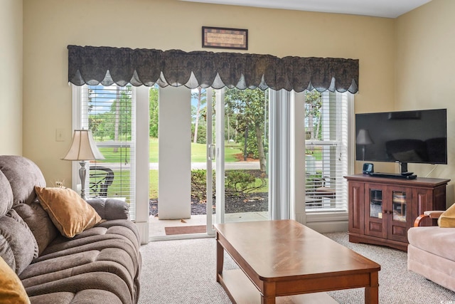 1009 World Tour Blvd Unit 105, Myrtle Beach, SC 29579 - living area featuring carpet flooring and plenty of natural light