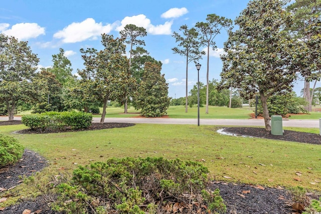 1009 World Tour Blvd Unit 105, Myrtle Beach, SC 29579 - view of home's community with a lawn