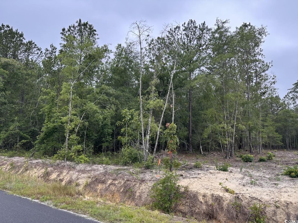 3-A Mcnabb Rd, Loris, SC 29569