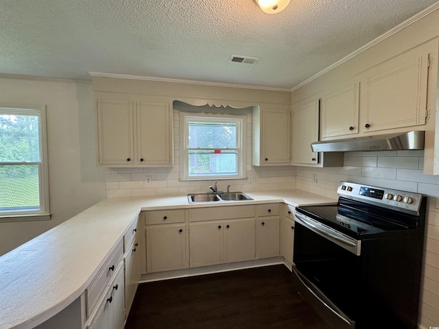 109 S Maple Ave, Andrews, SC 29510 - kitchen with electric range oven, under cabinet range hood, a textured ceiling, decorative backsplash, and dark wood-style floors