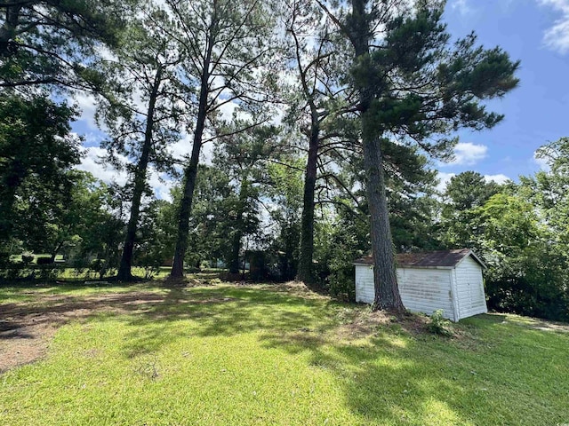 109 S Maple Ave, Andrews, SC 29510 - view of green lawn with a shed