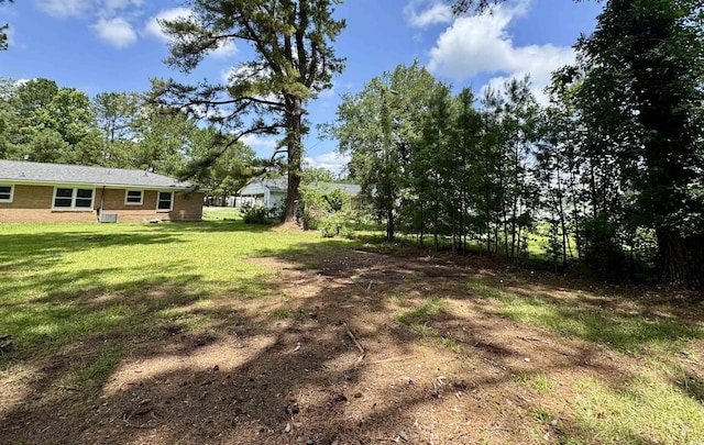 109 S Maple Ave, Andrews, SC 29510 - view of green lawn