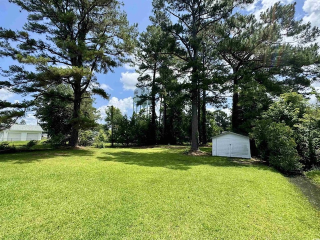 109 S Maple Ave, Andrews, SC 29510 - view of grassy yard with a storage unit
