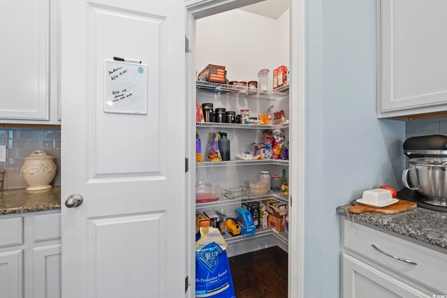 308 Firenze Loop, Myrtle Beach, SC 29579 - view of storage area
