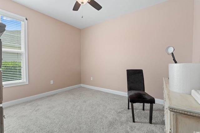 308 Firenze Loop, Myrtle Beach, SC 29579 - unfurnished room with carpet and ceiling fan