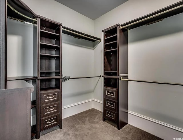 1613 James Island Ave, North Myrtle Beach, SC 29582 - walk in closet with dark carpet