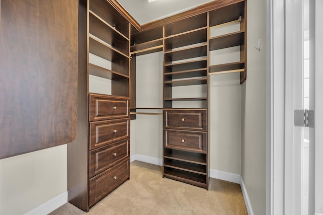 760 Carolina Farms Blvd, Myrtle Beach, SC 29579 - walk in closet with light colored carpet