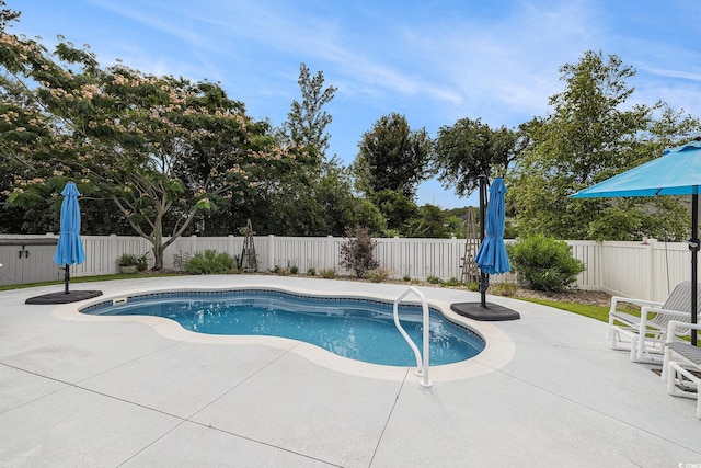 2010 Chattooga Ct, Myrtle Beach, SC 29588 - view of pool with a patio and a fenced backyard