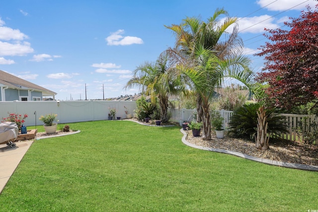 232 Angel Wing Dr, Myrtle Beach, SC 29588 - view of fenced backyard