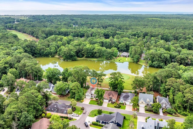 124 Turtle Creek Dr, Pawleys Island, SC 29585 - aerial view of residential area with a heavily wooded area and a large body of water