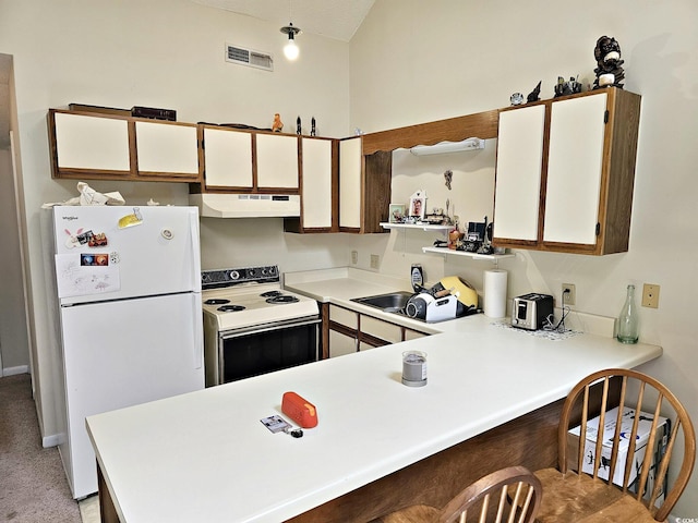 500 Fairway Village Dr Unit 9-K, Myrtle Beach, SC 29588 - kitchen featuring white appliances, under cabinet range hood, a peninsula, light countertops, and light colored carpet