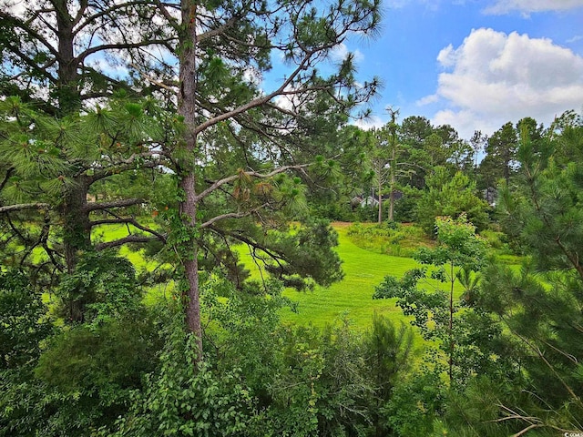500 Fairway Village Dr Unit 9-K, Myrtle Beach, SC 29588 - view of woods
