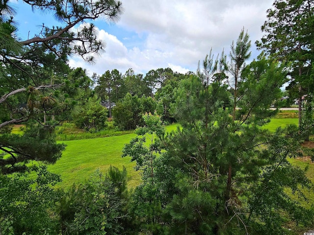 500 Fairway Village Dr Unit 9-K, Myrtle Beach, SC 29588 - view of undeveloped land