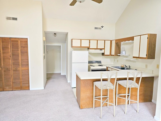 500 Fairway Village Dr Unit 9-K, Myrtle Beach, SC 29588 - kitchen with white appliances, a peninsula, light colored carpet, light countertops, and under cabinet range hood