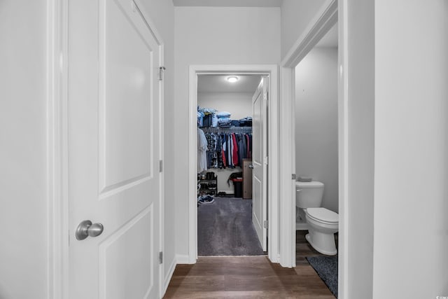 2882 Ophelia Way, Myrtle Beach, SC 29577 - bathroom with wood finished floors and a walk in closet