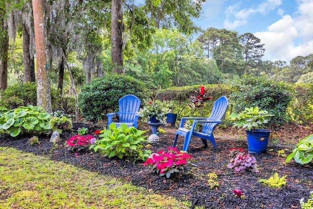 139 Olde Canal Loop, Pawleys Island, SC 29585 - view of yard