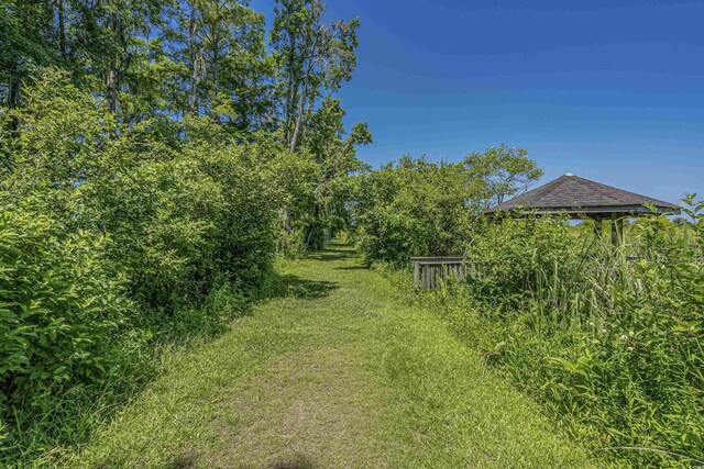 139 Olde Canal Loop, Pawleys Island, SC 29585 - view of yard