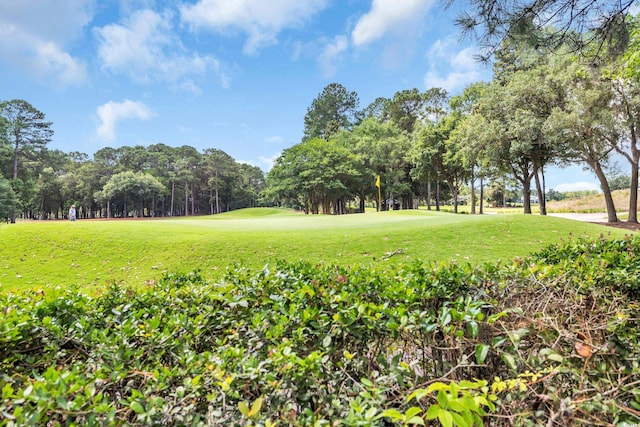 139 Olde Canal Loop, Pawleys Island, SC 29585 - view of property's community with a yard, view of golf course, and view of scattered trees