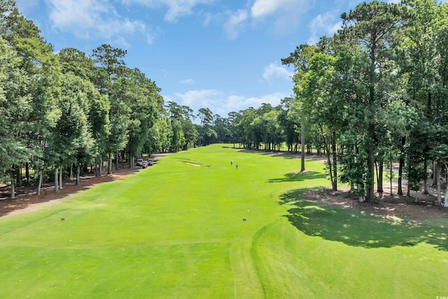 139 Olde Canal Loop, Pawleys Island, SC 29585 - view of home's community with view of scattered trees and golf course view