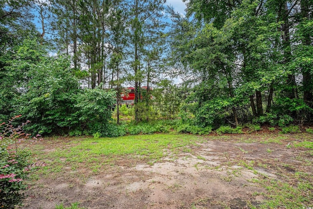 1120 Fairway Ln Unit 1120, Conway, SC 29526 - view of yard