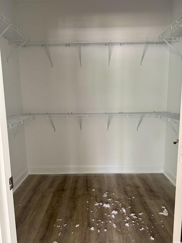 2075 Lees Landing Cir, Conway, SC 29526 - spacious closet with hardwood / wood-style floors