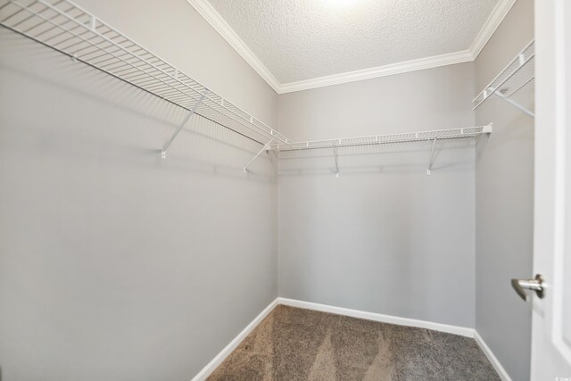 333 Walden Lake Rd, Conway, SC 29526 - photo 22